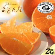 箱込約1㌔ 家庭用蔵出しマドンナ 愛果試28号（マドンナ） | 果物