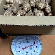 キクイモ　大玉 約1.8ｋｇ 果物や野菜などのお取り寄せ宅配食材通販産地直送アウル