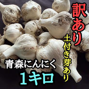 青森にんにく白玉王2キロ（大中玉） ｜ 野菜/にんにく 産直アウル 農家