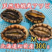 松前岩のり ミニサイズ5枚入 3袋 天然岩のり 岩海苔 北海道 ｜ 魚介類