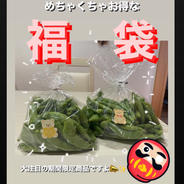 【福袋】✨旬屋福袋✨ ２kg未満  ３００ｇ✖️２袋  ５００ｇ✖️２袋 果物や野菜などのお取り寄せ宅配食材通販産地直送アウル