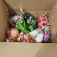 旬のお野菜お楽しみBOX　野菜詰め合わせ セット商品の例　大根２本　なす3本　ズッキーニ1本　など 果物や野菜などのお取り寄せ宅配食材通販産地直送アウル