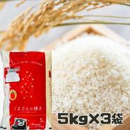 精米 熊本県産 くまさんの輝き 5キロ×3袋 くまもとの米 新年度産 米 白米 単一原料 おこめ お米 熊本 パッケージ変更あり 合計15キロ　 5キロ×3袋 果物や野菜などのお取り寄せ宅配食材通販産地直送アウル