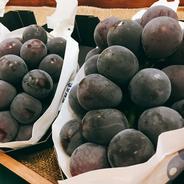 🍇秋ギフト🍇【幻の牧丘天空巨峰】世代を超えて圧倒的リピーターが続出する高級キング巨峰『9月下旬発送』約2kg4～8房【朝どれぶどう】【家庭用にも】 巨峰約2kg4～８房 果物や野菜などのお取り寄せ宅配食材通販産地直送アウル