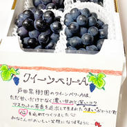 【朝採り糖度16〜18】クイーンベリーA1kgご家庭用2房 クイーンベリーa2房1kg 果物や野菜などのお取り寄せ宅配食材通販産地直送アウル
