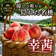 山梨一宮の甘い桃 幸茜の柔らかめ超特大サイズとさくら白桃を5個詰めて発送 気品ある隠れた名桃幸茜】本場山梨の品種指定キャンペーン爽やかな後味