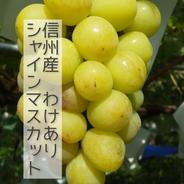 【2箱縛り】信州産わけありシャインマスカット約1.8kg 2箱×約1.8kgわけありシャイン 果物や野菜などのお取り寄せ宅配食材通販産地直送アウル