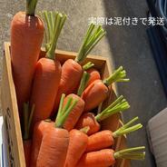 長ナス 業務用9キロ!! 産直直送 ｜ 野菜/茄子 産直アウル 農家・漁師