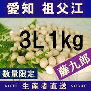 2026年新物！ 愛知県 祖父江産 久寿 銀杏 ぎんなん 4L 1kg ☆秋の味覚