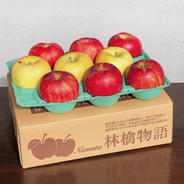 旬の詰め合わせ3kg 10月 3kg (10〜12個入) 果物や野菜などのお取り寄せ宅配食材通販産地直送アウル