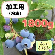 完全自然栽培】生ブルーベリー 500g（無洗浄・ブルーム付き）クール便