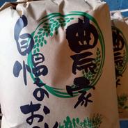 宮崎県産の2025年新米無洗米コシヒカリ5kg コシヒカリ5kg 果物や野菜などのお取り寄せ宅配食材通販産地直送アウル