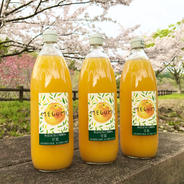 無添加100% 農薬不使用　甘夏ジュース 1000ml 12本 果物や野菜などのお取り寄せ宅配食材通販産地直送アウル