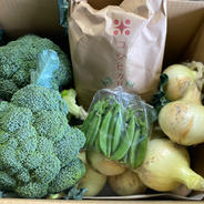 永田農園BOX 旬のお野菜3種とお米３キロ〜５キロ 果物や野菜などのお取り寄せ宅配食材通販産地直送アウル