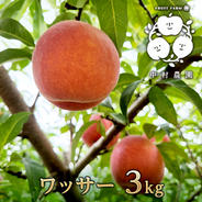 桃 スイートリッチ（プレミアムワッサー） 3kg ｜ 果物/もも 産直