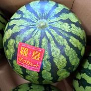 当農園の1推し西瓜品種味きららLサイズ1玉入り ｜ 果物/スイカ 産直
