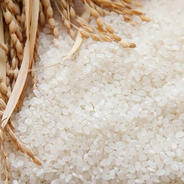 産直！令和6年産【新米】心を込めて古和の米10キロ　島根県浜田市産 10kg 果物や野菜などのお取り寄せ宅配食材通販産地直送アウル