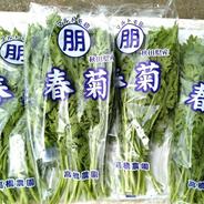 雪国育ち！マルトモ印【やさしい春菊】1200g（150g×8） 1200g（150g×8） 果物や野菜などのお取り寄せ宅配食材通販産地直送アウル