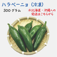 農薬不使用】島トウガラシ青200個 ｜ 野菜/スパイス 産直アウル 農家