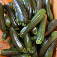 群馬県東吾妻町産【訳あり】ズッキーニ　8kg ズッキーニ　8kg 果物や野菜などのお取り寄せ宅配食材通販産地直送アウル