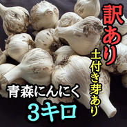 訳あり・土付き芽あり】青森にんにく白玉王（中小玉）1kg ｜ 野菜