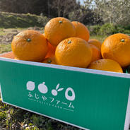 【有機JAS認証】オーガニック紅甘夏　2キロ　ノーワックス•防腐剤不使用 2kg 果物や野菜などのお取り寄せ宅配食材通販産地直送アウル