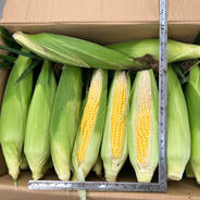 訳ありゴールドラッシュとうもろこし6本入 6本入 果物や野菜などのお取り寄せ宅配食材通販産地直送アウル