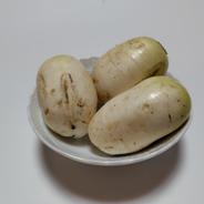 おろしそばに最適! 福井県産 辛味大根(品種名:旭山) 400g〜600g