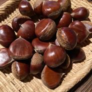 京都産 花山椒 100g ｜ その他/食用花 産直アウル 農家・漁師など生産