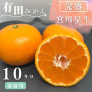 完熟】有田みかん 10キロSサイズ ギフトにも！ 温州みかん 宮川早生