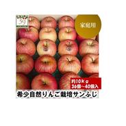 葉取らずサンフジ10kg以上 りんご重さのみ♪ 葉とらずサンふじ | 10kg家庭用 - 外崎りんご園