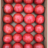 昔ながらのトマト4kg 4kg 果物や野菜などのお取り寄せ宅配食材通販産地直送アウル