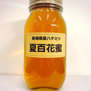 vintage（2018）天然日本蜜蜂 発酵完了熟成蜜 ｜ はちみつ/はちみつ