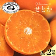 専用❤みかん⭐ふわとろ８重ガーゼ⭐超特大ブランケット❤ 専用♥みかん*ふわとろ♥8重ガーゼ☆特大ブランケット♥