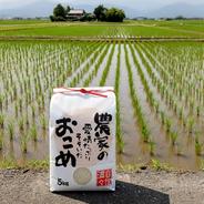 朝摘み即日発送】水耕栽培 フレッシュバジル 100g 清潔栽培 摘みたて