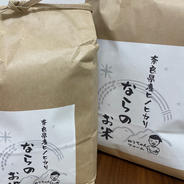 令和6年産  ひのひかり 10kg 特別栽培米 白米 10kg 果物や野菜などのお取り寄せ宅配食材通販産地直送アウル