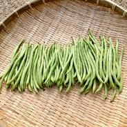 【冷蔵便】さやインゲン 1.8kg 1.8kg 果物や野菜などのお取り寄せ宅配食材通販産地直送アウル