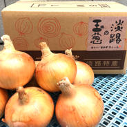 淡路島産(南あわじ市)玉ねぎ ターザン 10kg箱 ｜ 野菜/玉ねぎ 産直