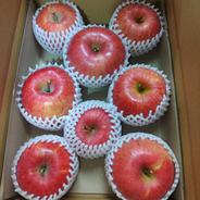 贈答用にもりんご🍎サンふじ🍎 5kg 大玉～中玉(12～16玉) ｜ 果物