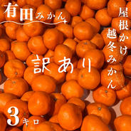 完熟中生みかん】有田みかん☆家庭用5キロ ｜ 果物/温州みかん 産直