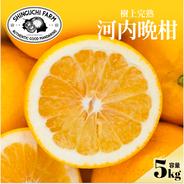 新品種】甘平×まどんな 紅プリンセスと同品種 家庭用 3kg 愛果48号