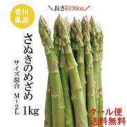 はなまる農園のめちゃ太，アスパラさぬきのめざめ２キロ　贈答用（秀品） はなまる農園の極細さぬきのめざめ 1.2キロ ｜ 野菜/アスパラガス