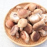 待望の復活】 大きな！！ちょいワル椎茸 ｜ 野菜/きのこ 産直アウル