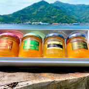 瀬戸内柑橘マーマレードお好みセット 100g×4個 果物や野菜などのお取り寄せ宅配食材通販産地直送アウル