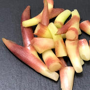 𓆸【全国の生産量90%を誇る高知県産】𓍯茎みょうが 3Kg(6袋) 果物や野菜などのお取り寄せ宅配食材通販産地直送アウル