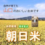 R7年朝日米 自然栽培(10年以上) で作った おいしいお米20kg（玄米