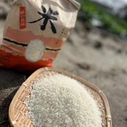 令和5年度米　静岡県浜松市産　【にこまる】10kg 10ｋｇ 果物や野菜などのお取り寄せ宅配食材通販産地直送アウル
