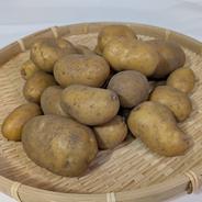 北海道産　インカのめざめ ４．５ｋｇ インカのめざめ　４．５ｋｇ 果物や野菜などのお取り寄せ宅配食材通販産地直送アウル