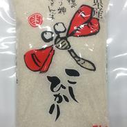 令和7年産 新米 石川県産 エコ栽培米 「赤とんぼ」コシヒカリ 白米 5kg 5kg 果物や野菜などのお取り寄せ宅配食材通販産地直送アウル