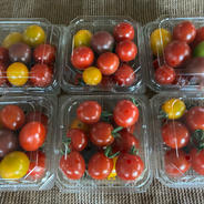 北海道産　採れたてカラフル　ミニトマトミックス　1.8k ミニトマトミックス　180g 10パック 果物や野菜などのお取り寄せ宅配食材通販産地直送アウル